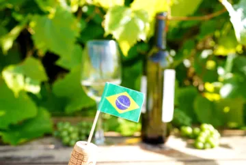 Sabores do Brasil: Conheça os vinhos brasileiros e suas diferentes regiões