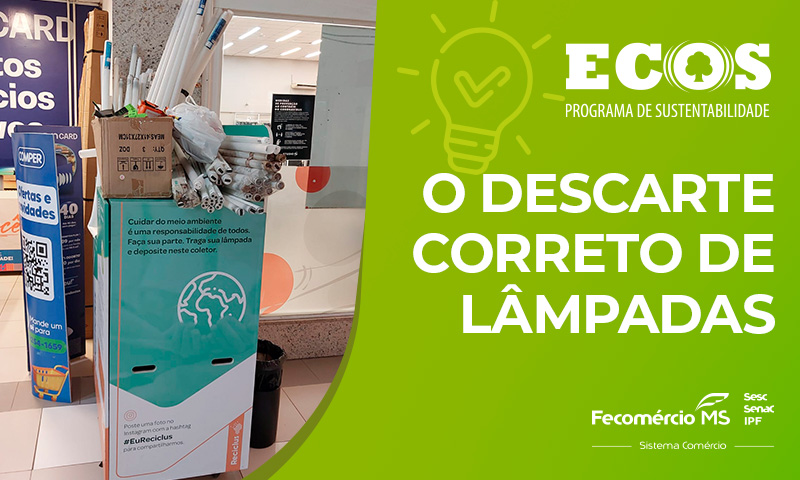 Descarte correto de lâmpadas